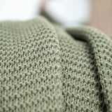 PLED LENIWY PORANEK OLIWKOWY